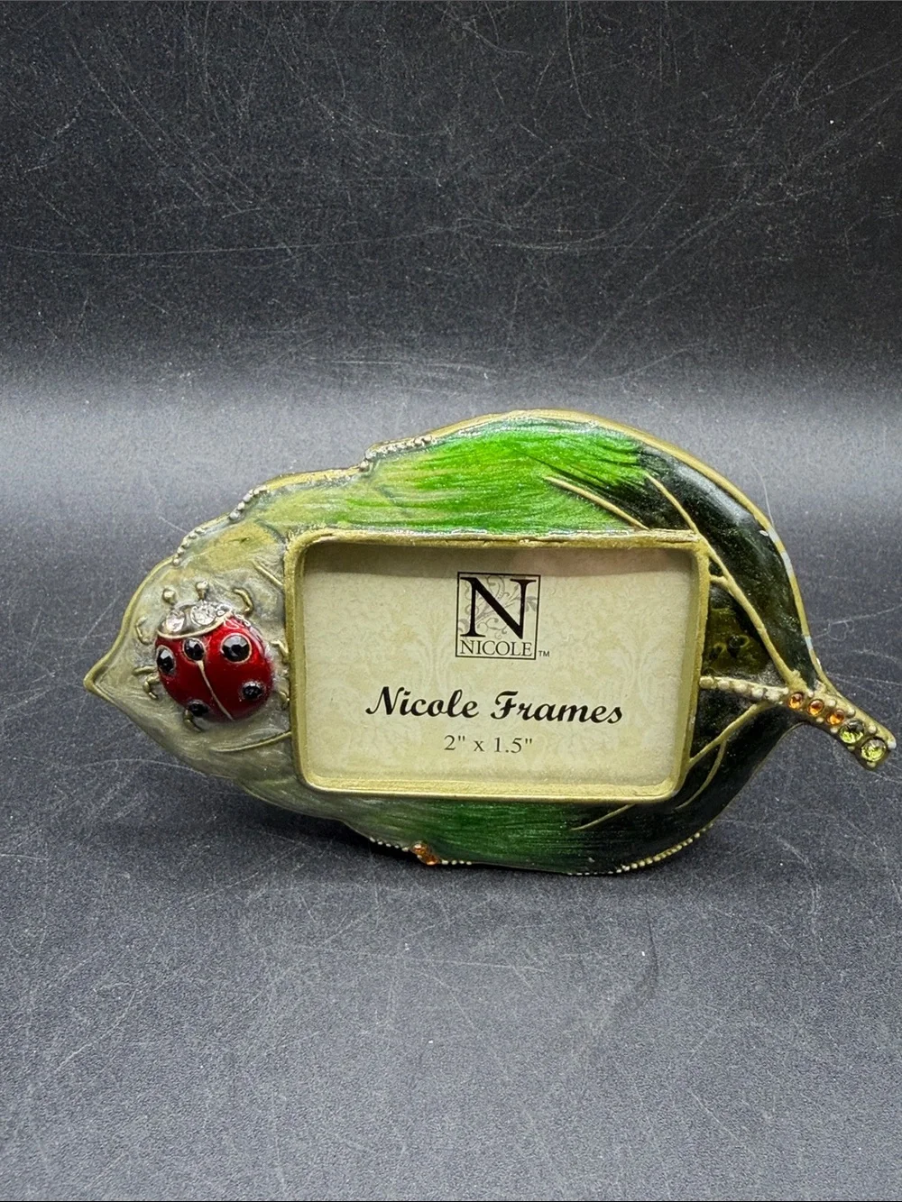 Nicole Frames Ladybug Leaf Enameled Metal Rhinestone Picture Frame Insect Bug
